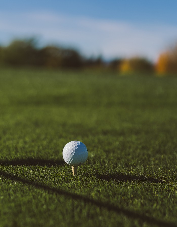 Hotel Reiters Finest Family - Golfball on the tee