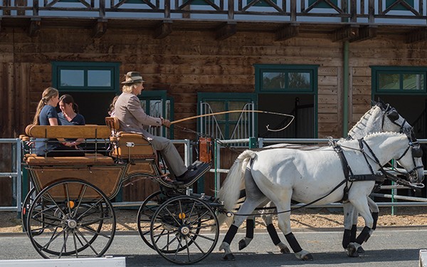 Hotel Reiters Finest Family - Carriage ride