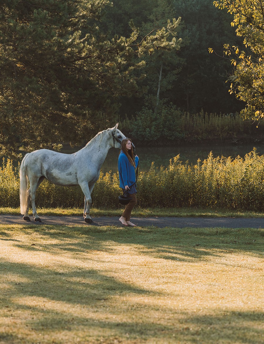 Hotel Reiters Finest Family - Walk with Lipizzaner