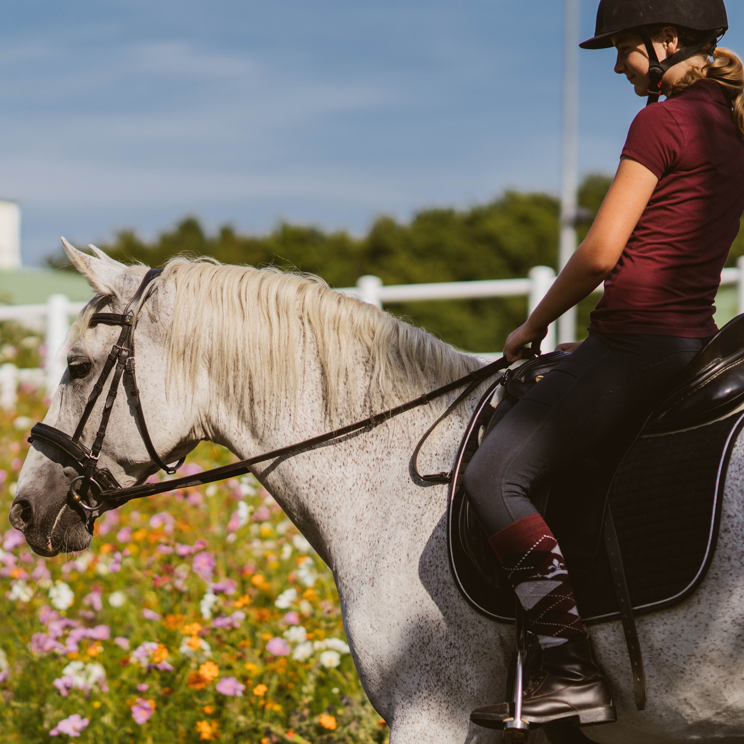 Hotel Reiters Finest Family - Mädchen reitet auf Lipizzaner